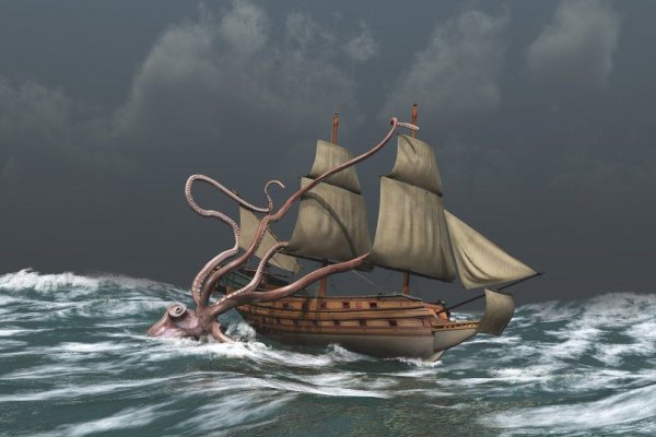 Kraken biz